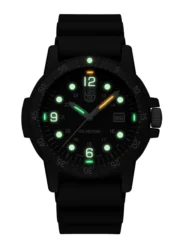 Sea Bass Carbonox 2000 Series X2.2001 - Image 2