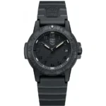 Leatherback Sea Turtle 300 Series XS.0301.BO.L