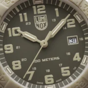 Leatherback Sea Turtle XS.0326 - Image 4