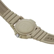 Leatherback Sea Turtle XS.0326 - Image 5