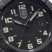 Leatherback Sea Turtle 0320 Series - XS.0330 - Image 3