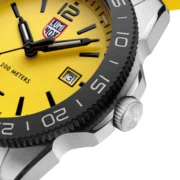 PACIFIC DIVER 3120 SERIES - XS.3125 - Image 5