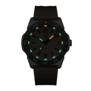 PACIFIC DIVER 3120 SERIES - XS.3129 - Image 2