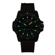 Master Carbon Automatic 3860 Series XS.3875 - Image 2